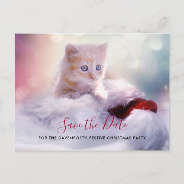 Carte Postale Jolie fête de Noël Kitten Enregistrer la date (Devant)