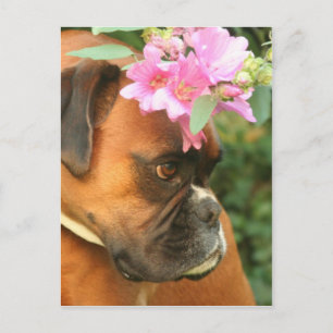 Carte Postale Jolie fille de fleurs