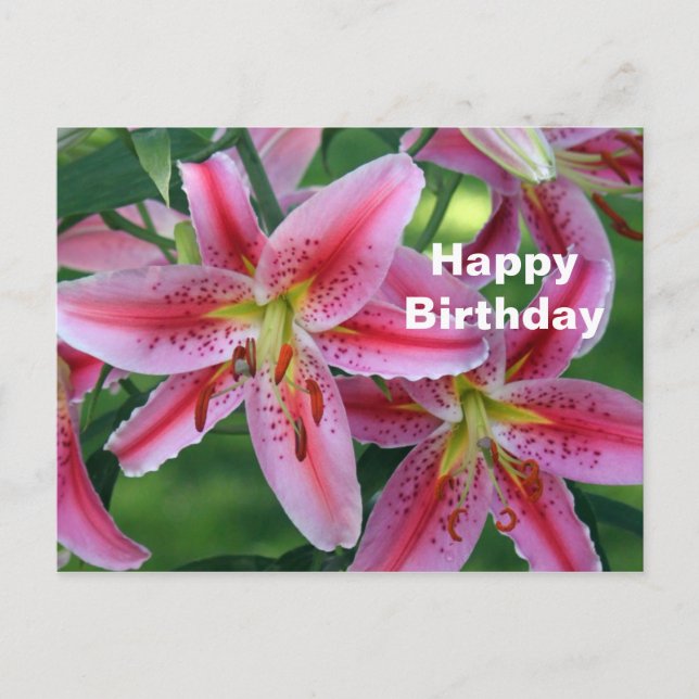 Carte Postale Jolie Fleur de Lys Rose Photo Anniversaire (Devant)