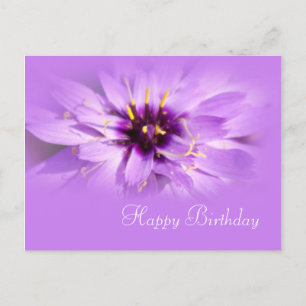 Carte Postale jolie fleur marguerite violette joyeux anniversair