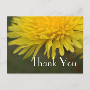 Carte Postale Jolie fleur sauvage jaune dent-de-lion merci