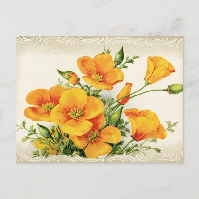 Carte Postale Jolie Fleurs Jaunes Vintages (Devant)