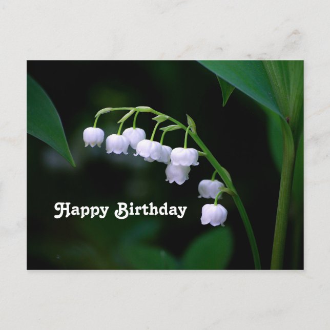 Carte Postale Jolie Lily de la Vallée Fleurie Anniversaire (Devant)