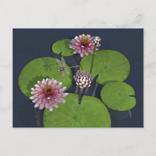 Carte Postale Jolie nénuphar rose et libellule