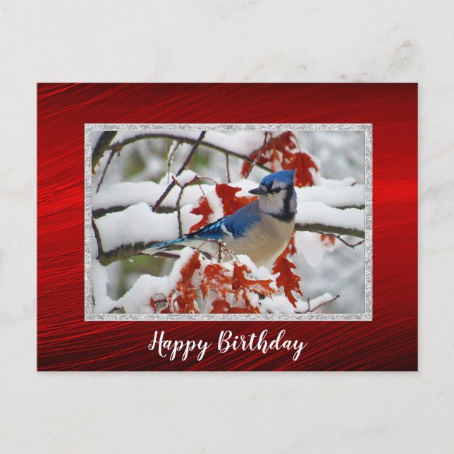 Carte Postale Jolie Photo d'anniversaire de Geai Bleu dans la Ne (Devant)