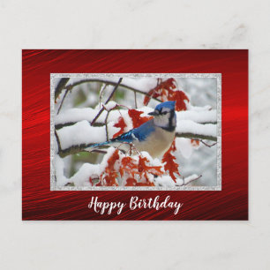 Carte Postale Jolie Photo d'anniversaire de Geai Bleu enneigé
