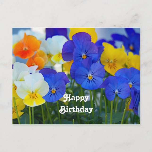 Carte Postale Jolie photo de fleurs d'anniversaire aux pensées v (Devant)