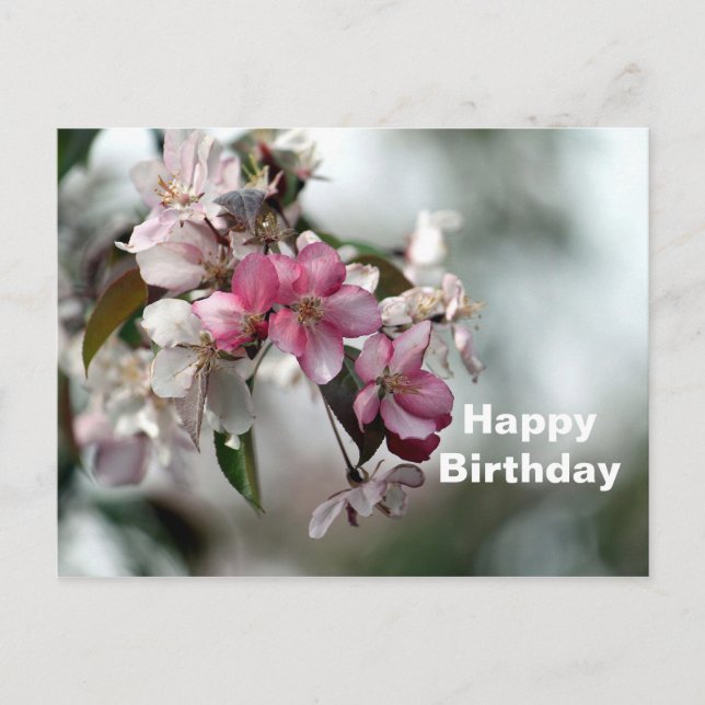 Carte Postale Jolie pomme rose photo florale Anniversaire (Devant)