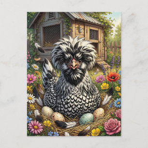 Carte Postale Jolie poule polonaise noire et blanche