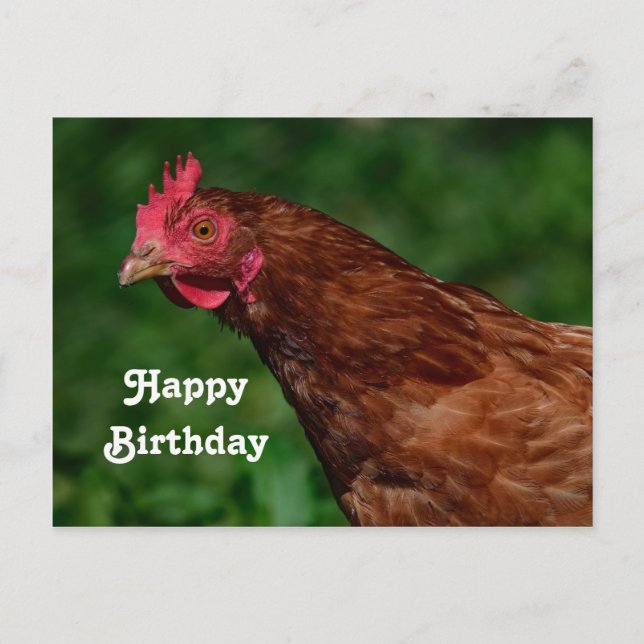 Carte Postale Jolie Red Chicken Visage Photo Anniversaire (Devant)