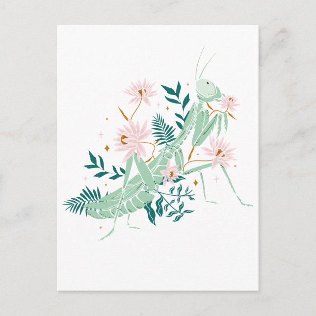 CARTE POSTALE JOLIE SAUTERELLE (Devant)