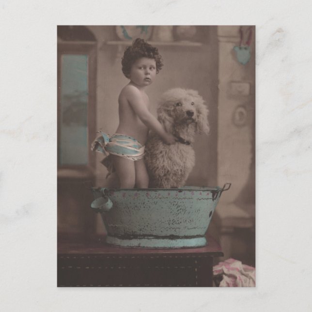 Carte Postale Jolie vieille photo Petit enfant avec chien dans l (Devant)