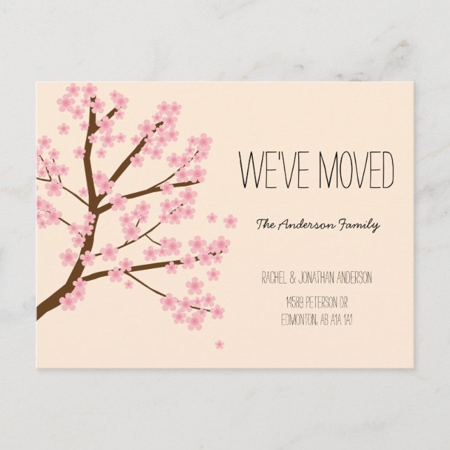 Carte Postale Jolies fleurs de cerisiers Sakura Arbre Nous avons (Devant)