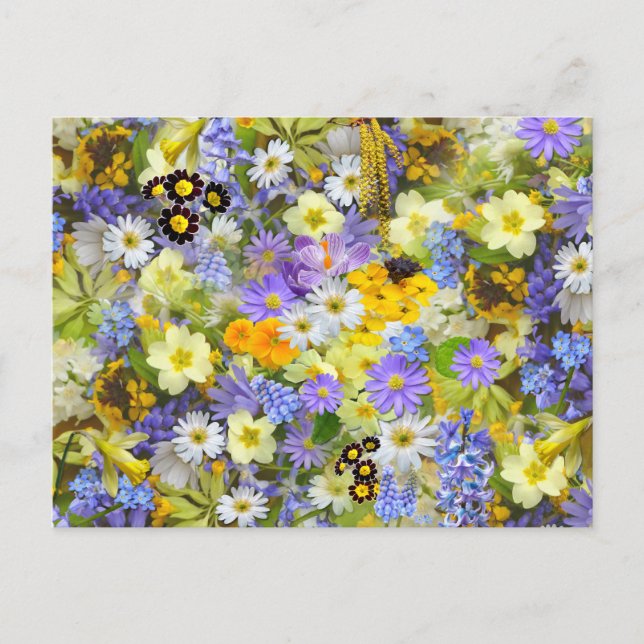 Carte Postale Jolies fleurs de printemps (Devant)