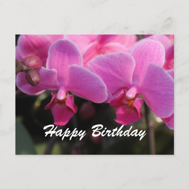Carte Postale Jolies fleurs d'orchidées roses. voeux d'anniversa (Devant)