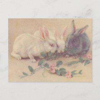 Carte Postale Jolies lapines Vintages