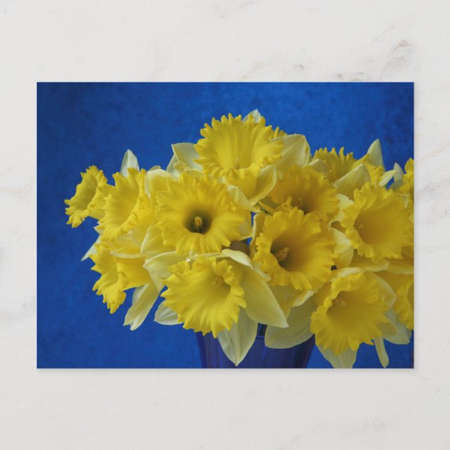Carte Postale jonquilles (Devant)