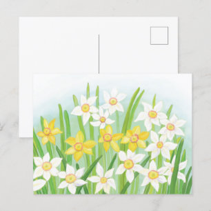 Carte Postale Jonquilles printanières 