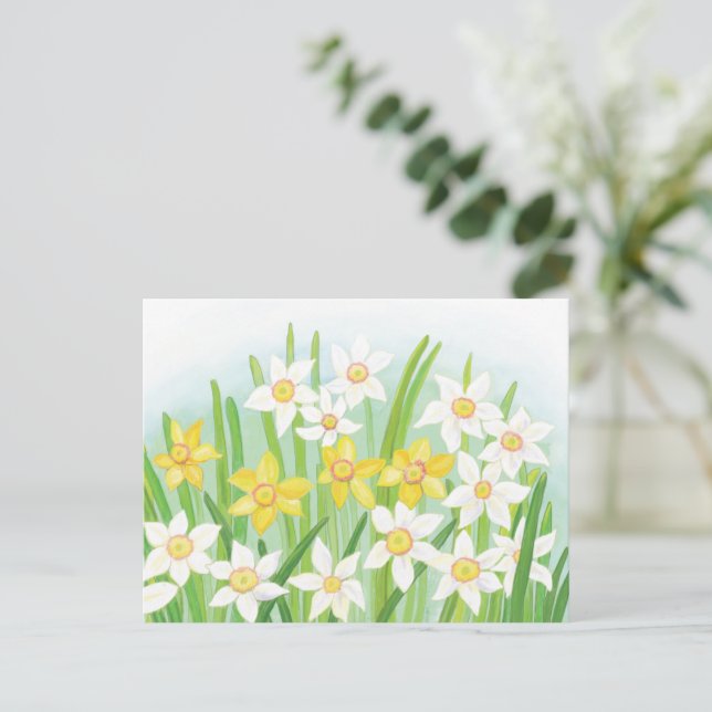 Carte Postale Jonquilles printanières  (Debout devant)