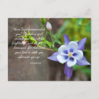 Carte postale Joshua 1:9 Purple Columbine