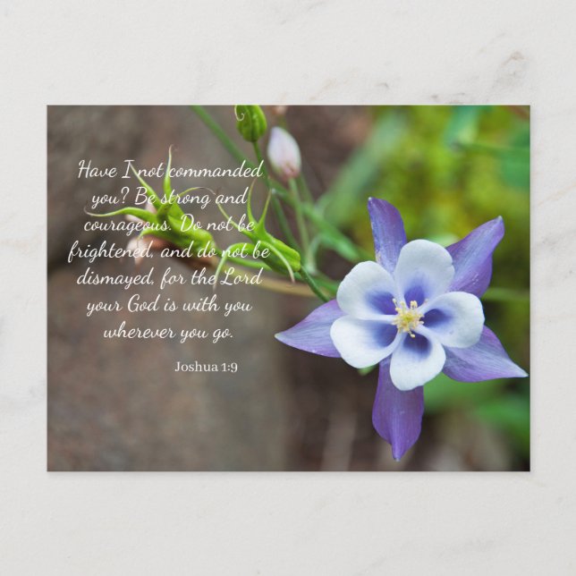 Carte postale Joshua 1:9 Purple Columbine (Devant)