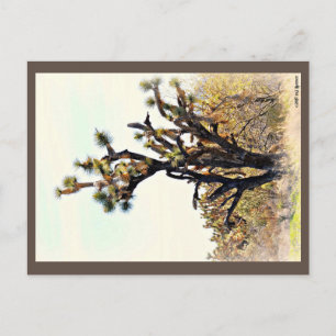 Carte postale Joshua Tree