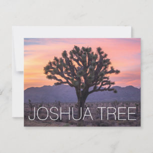Carte Postale Joshua Tree