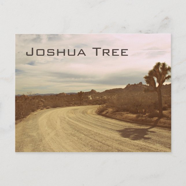Carte Postale Joshua Tree, Californie (Devant)