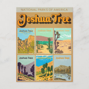 Carte Postale Joshua Tree National Park California