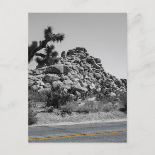 Carte Postale Joshua Tree Rocks with Road - California Photo