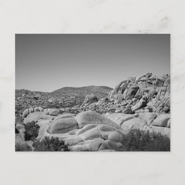 Carte Postale Joshua Tree Rocky Landscape - Photographie (Devant)