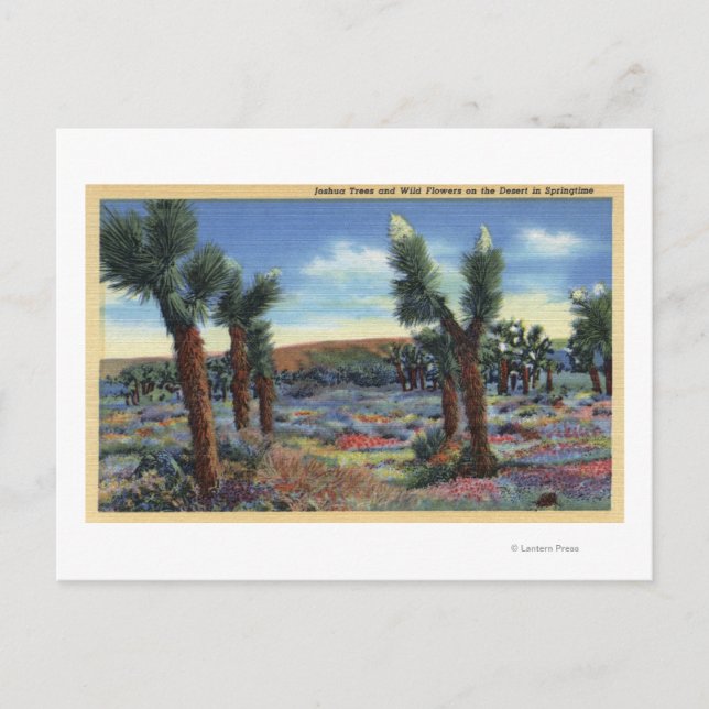 Carte Postale Joshua Trees et Fleurs sauvages du désert Vue (Devant)