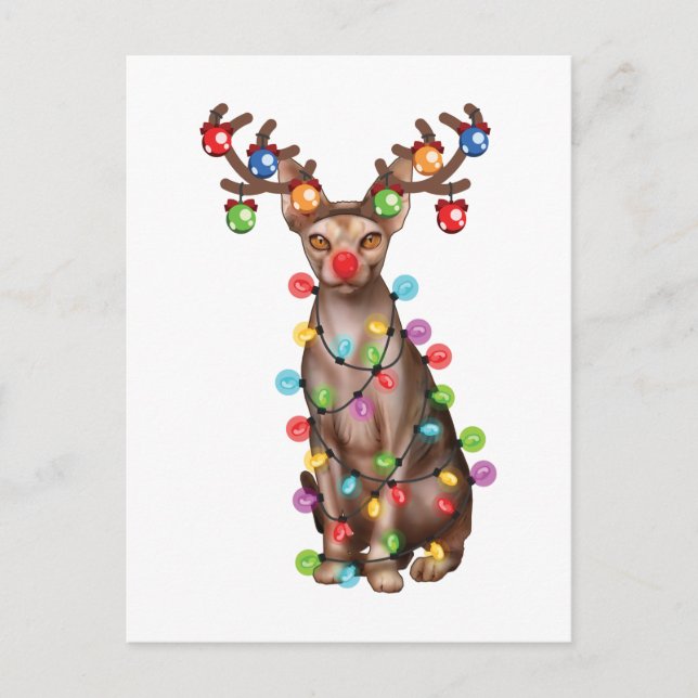 Carte Postale Jote Sphynx Amoureux des chats Funny Noël cadeau d (Devant)