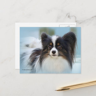Carte Postale Jouet Papillon mignonne Chien espagnol à l'quai