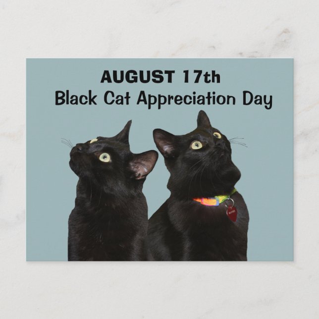 Carte postale Jour d'appréciation du chat noir (Devant)