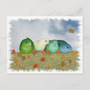 Carte Postale Jour d'automne