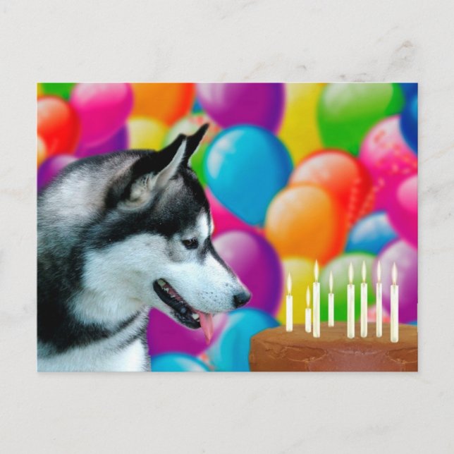 Carte Postale Jour de Husky (Devant)