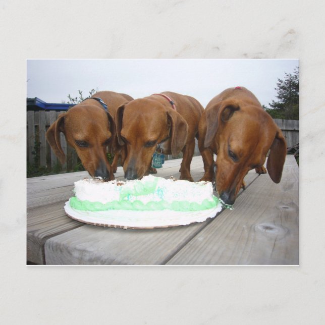 Carte Postale Jour de la St Patrick (Devant)