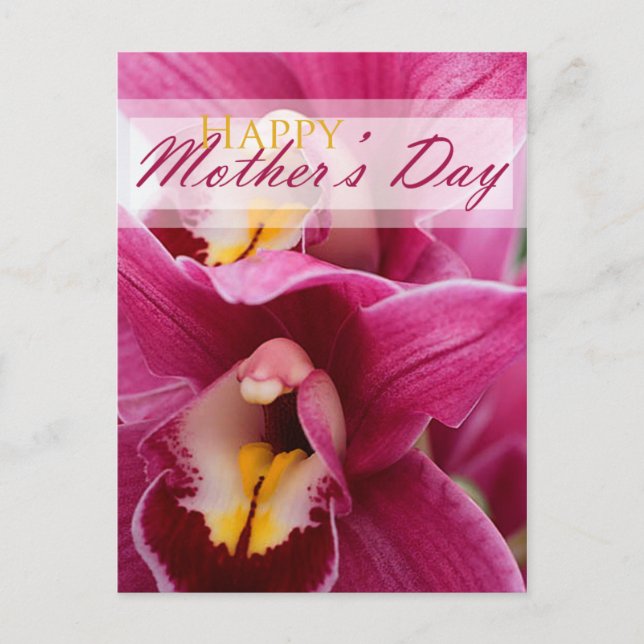 Carte Postale Jour des mères de l'orchidée rose (Devant)