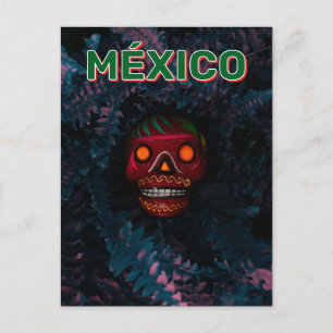 Carte Postale Jour Des Morts Au Mexique