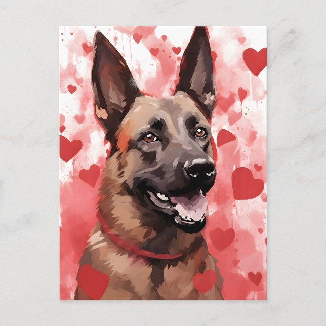 Carte Postale Jour des Valentines du Malinois (Devant)