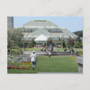 Carte Postale Jour d'été à Chicago