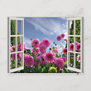 Carte Postale Jour d'été, Dahlias en fleurs