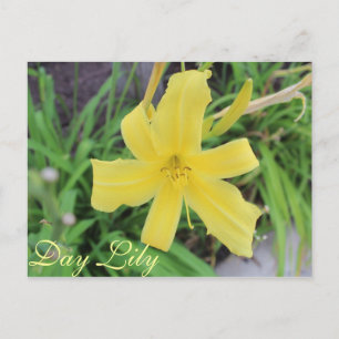 Carte Postale Jour Jaune Lily # 1