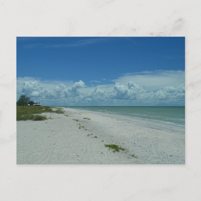 Carte Postale Jour pittoresque Plage tropicale Vacances Paysage  (Devant)