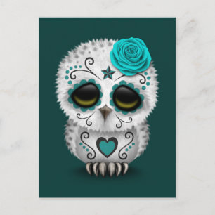 Carte Postale Jour Turquoise de la Chouette crânienne Morte
