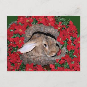 Carte Postale Journal de yule de lapin