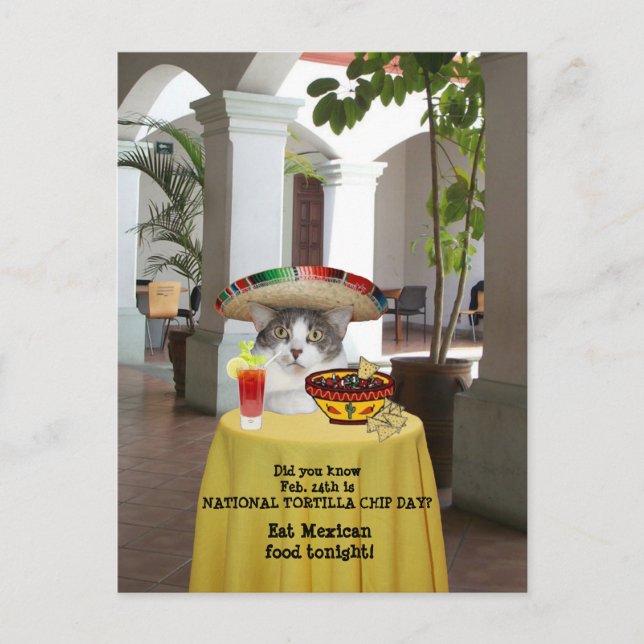 Carte Postale Journée nationale de la chipe Tortilla Chat amusan (Devant)