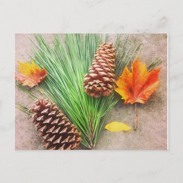 Carte Postale Jours d'automne (Devant)