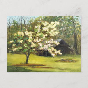 Carte Postale Jours de Dogwood